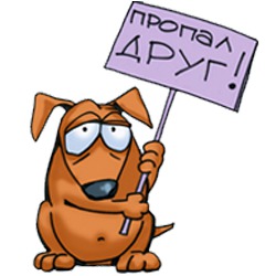 Ты где прикольные открытки