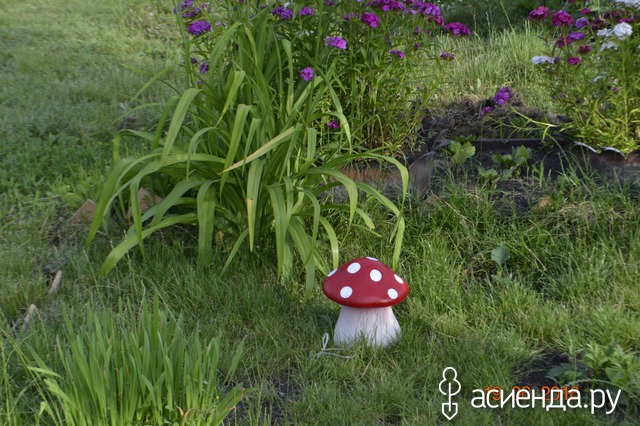 Альбом сад и огород Альбом сад и огород
