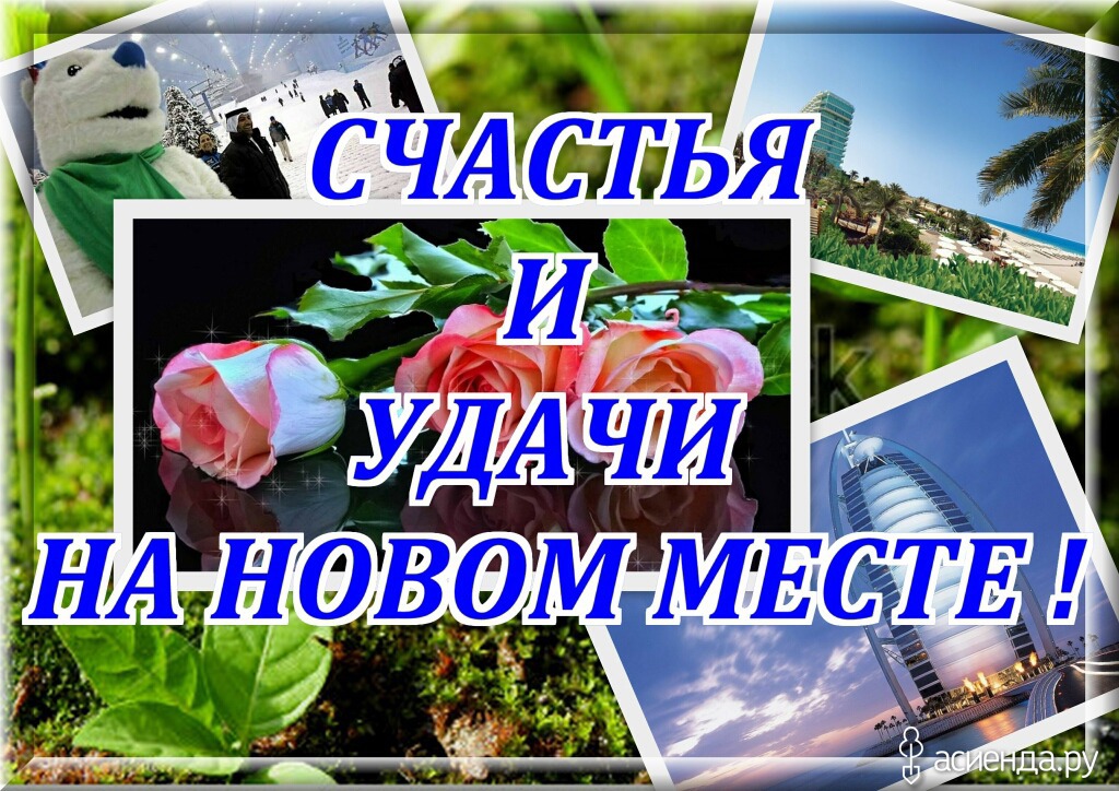 Поздравления с новой работой картинки Поздравления с новой работой картинки