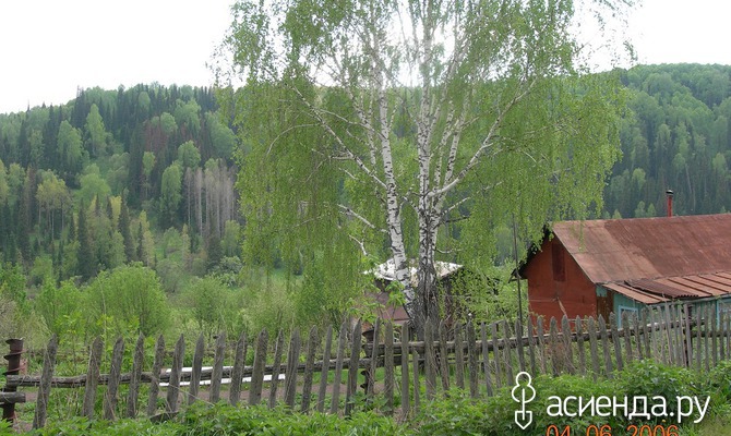 Не нужен мне берег турецкий