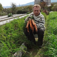 УДИВИТЕЛЬНЫЙ ОГОРОД ИГОРЯ ЛЯДОВА