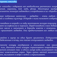 Время собирать отходы