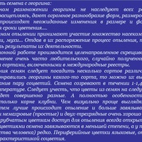 Как получить семена с георгина