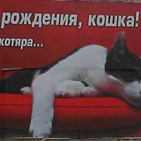 Брутально? Нет, с любовью!