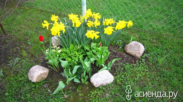 �������-�������� � ���� � ������� - ��������