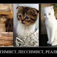 Воскресный позитивчик