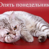 Позитивчик