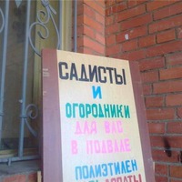 Ашипки из серии ржунимагупацталом-6