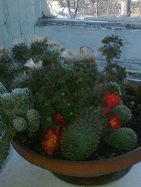 � ����� ������� ������� ������...