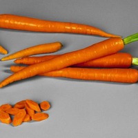 Морковкины премудрости
