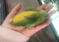 Удивительная кукурузка