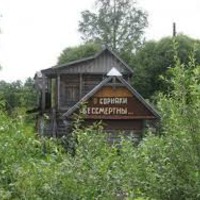 Сорняки