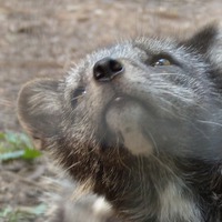 Где я сегодня была и что видела...