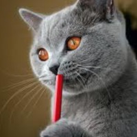   \    !?