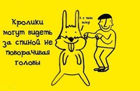 ���������� �����