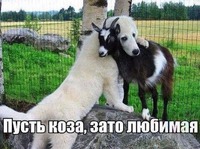 Позитивчик