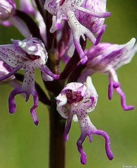������ ����... �������� )))