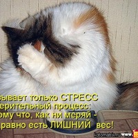 ��� ����������... ��������� �����.