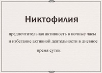 ��� ���� ����� �����. ��� ������������!