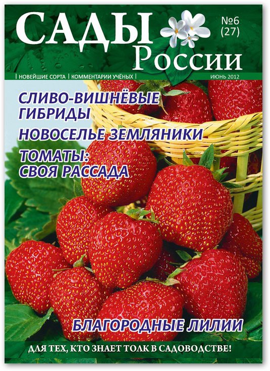 Челябинск сайт огород. Сады России журнал. Семена сады России Челябинск. Журнал семена сады России. Челябинский питомник сады России.