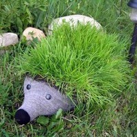 Два ежика