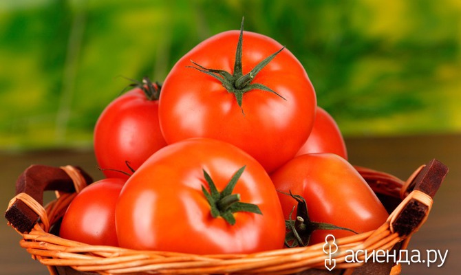 Советы овощеводов для томатов. Часть 1