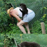 Давайте посмеёмся