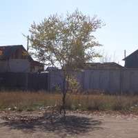 Осень - это сентябрь, октябрь, ноябрь, но не везде