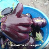 ������� ���������, ��� �������� ��� ���, ��� ������ �������.