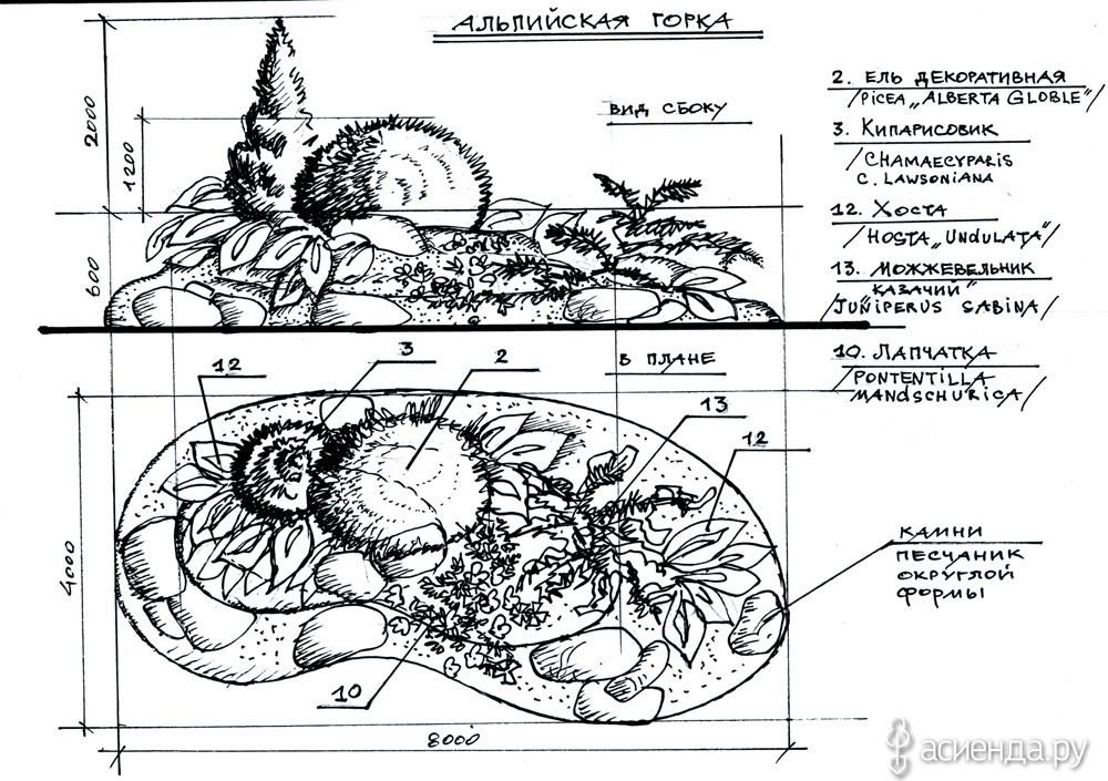 чертеж альпийской горки