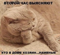 ������� �������