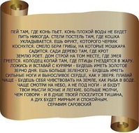Фразы...