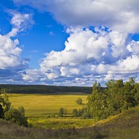 Прогулка в осень...