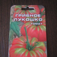 Готовлюсь к следующему сезону!