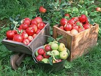  " " ( )