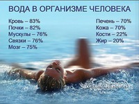 46 ������ ���� ����
