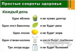 33 совета для здоровья на каждый день.