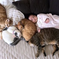Ну разве не прелесть?
