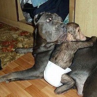 У МАМ чужих детей не бывает!