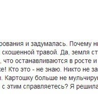 Водяная крыса