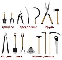 Агрофитнес)))