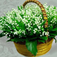 Дни рождения в мае