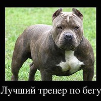 Предостерегают, но с юмором!