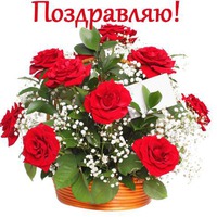 Август, "Дачный сезон", итоги второй недели