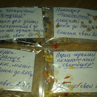 Ура! я получила письмо от Танюши Векленко...