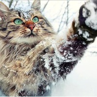 А в деревне снег иной