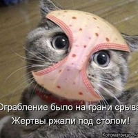 А я вам ещё котиков принесла