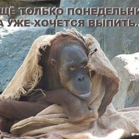 �����������...