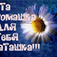Сегодня поздравляем Натали!