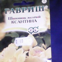 Сходила вчера на 15 минут в магазин. вот покупки!